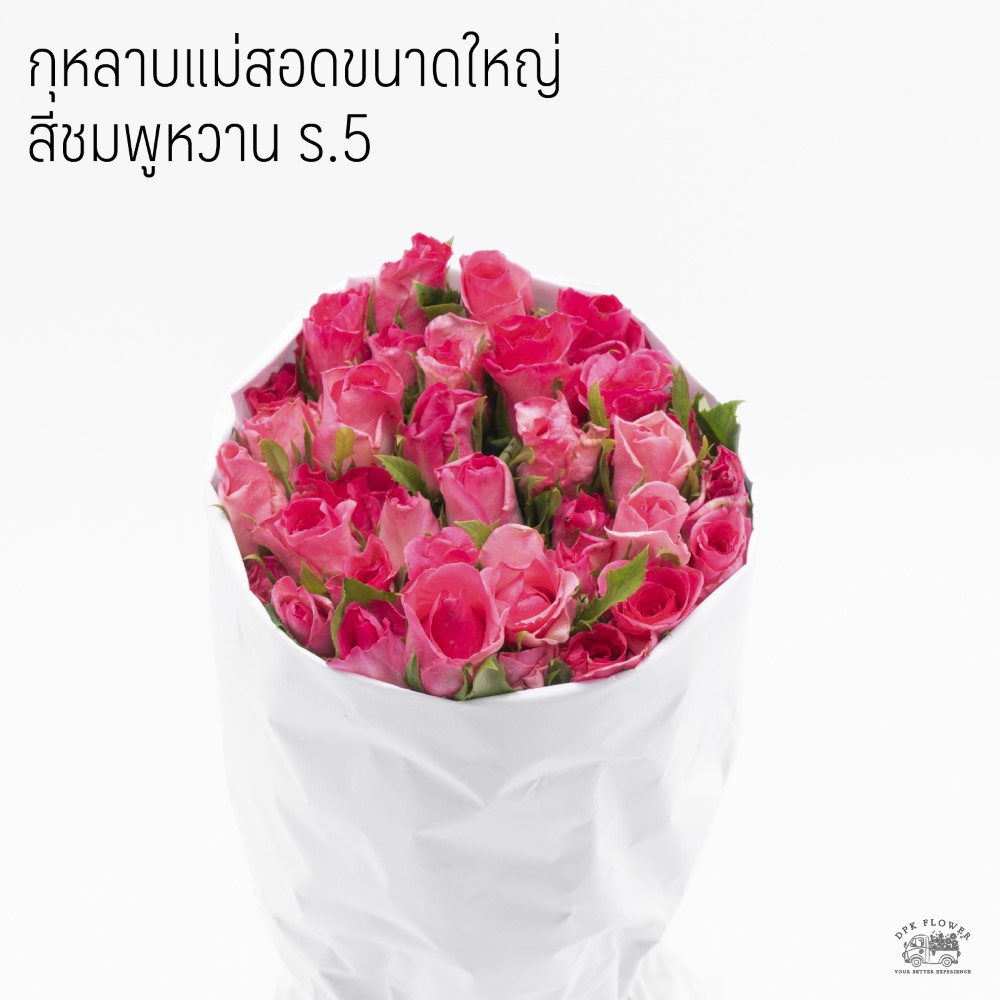 กุหลาบแม่สอดขนาดใหญ่