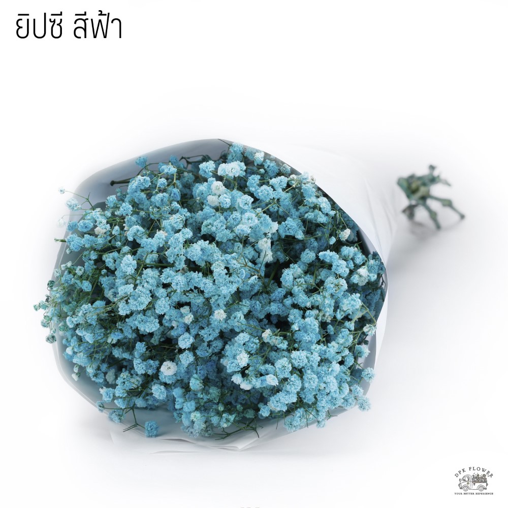 ยิปซีย้อม